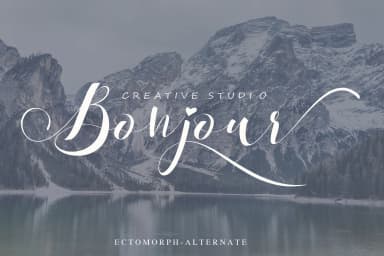 Ectomorph Font by aldedesign — Script Handwritten Font — thumbnail 2