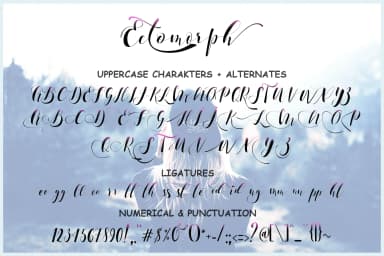 Ectomorph Font by aldedesign — Script Handwritten Font — thumbnail 6