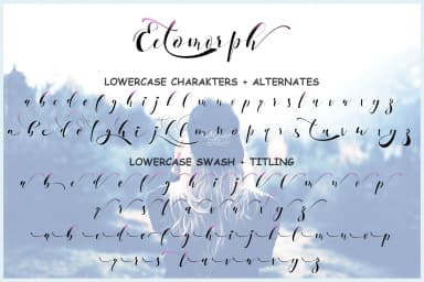 Ectomorph Font by aldedesign — Script Handwritten Font — thumbnail 7