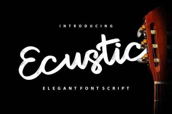 Ecustic Font by Vunira — Script Handwritten Font
