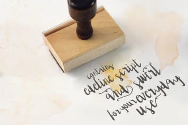 Edeline Font by Blue Robin Design Shop — Script Handwritten Font — thumbnail 3