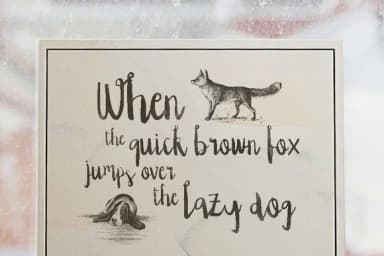 Edeline Font by Blue Robin Design Shop — Script Handwritten Font — thumbnail 4