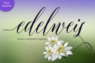 Edelweis Font by joelmaker — Script Handwritten Font — thumbnail 1
