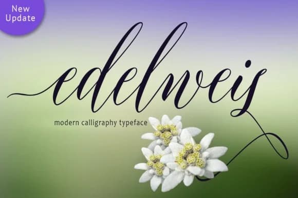 Edelweis Font by joelmaker — Script Handwritten Font