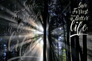 Edelweiss Font by mcjer.studio — Script Handwritten Font — thumbnail 2