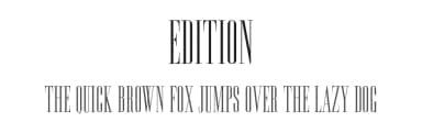 Edition — Serif Font — thumbnail 1