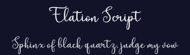 Elation Script by Cut Story — Script Handwritten Font — thumbnail 2