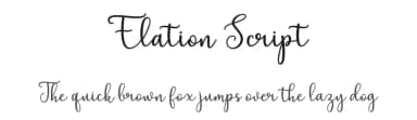 Elation Script by Cut Story — Script Handwritten Font — thumbnail 1