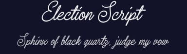 Election Script by Mikrojihad Typography — Script Handwritten Font — thumbnail 2
