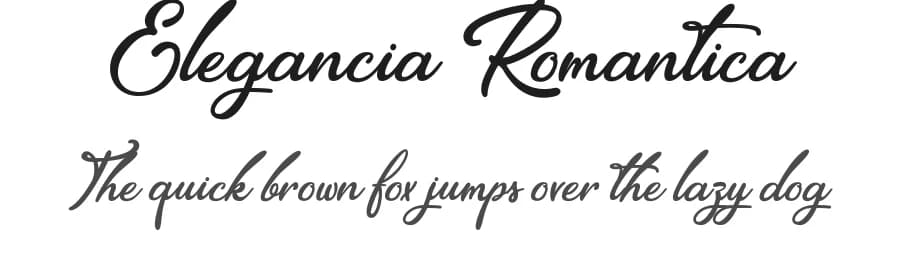 Elegancia Romantica by Octotype  | Thomas Boucherie — Script Handwritten Font