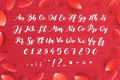 Elegant Roughness Font by Design A Lot — Script Handwritten Font — thumbnail 2