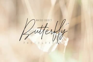 Elegantly & Modest Duo Font by varianskills — Script Handwritten Font — thumbnail 6