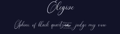 Elegise by Nathatype — Script Handwritten Font — thumbnail 2