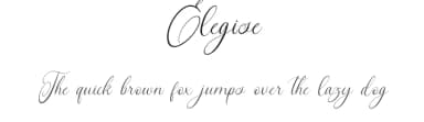 Elegise by Nathatype — Script Handwritten Font — thumbnail 1