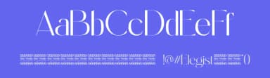 Elegist by Din Studio — Sans Serif Font — thumbnail 3