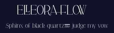 Elleora Flow by Edric Studio — Serif Font — thumbnail 2
