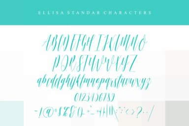 Ellisa Script Font by BONJOURTYPE — Script Handwritten Font — thumbnail 5
