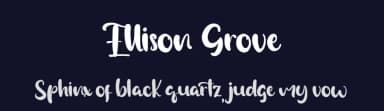 Ellison Grove by Vztype Studio — Script Handwritten Font — thumbnail 2