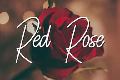 Elliziebet Font by Justlett — Script Handwritten Font — thumbnail 2