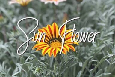 Elliziebet Font by Justlett — Script Handwritten Font — thumbnail 6