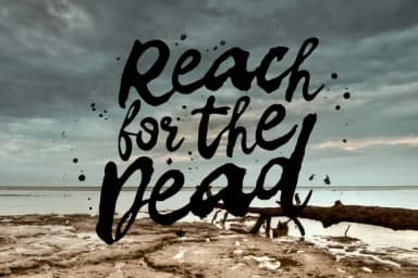 Elvissa Font by ChekArt — Script Handwritten Font — thumbnail 3