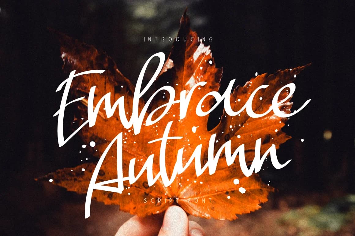 Embrace Autumn Font by ChekArt — Script Handwritten Font