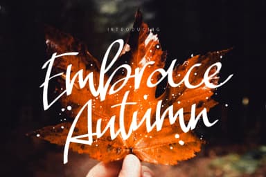 Embrace Autumn Font by ChekArt — Script Handwritten Font — thumbnail 1