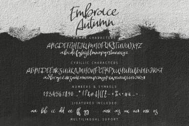 Embrace Autumn Font by ChekArt — Script Handwritten Font — thumbnail 7