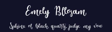 Emely Bllosam by Jujun Gag — Script Handwritten Font — thumbnail 2