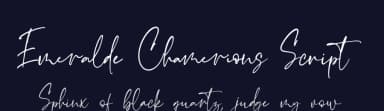 Emeralde Chamerions Script by Almarkhatype — Script Handwritten Font — thumbnail 2