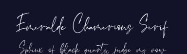 Emeralde Chamerions Serif by Almarkhatype — Serif Font — thumbnail 2
