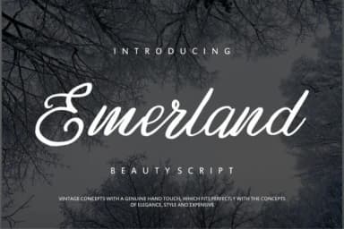 Emerland Font by Vunira — Script Handwritten Font — thumbnail 1