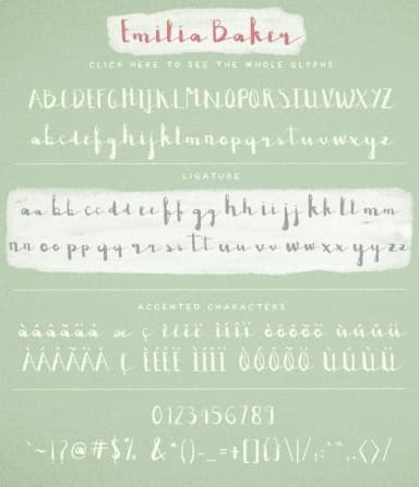 Emilia Baker Font by Blue Robin Design Shop — Script Handwritten Font — thumbnail 2