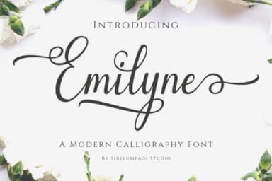 Emilyne Font by Sibelumpagi Studio — Script Handwritten Font — thumbnail 1
