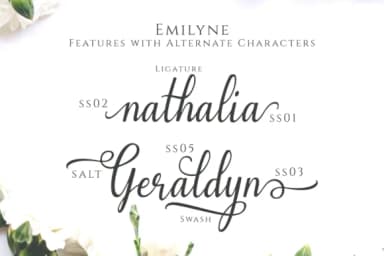Emilyne Font by Sibelumpagi Studio — Script Handwritten Font — thumbnail 2