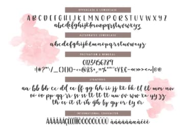 Emylia Script Font by Emylia Design — Script Handwritten Font — thumbnail 2