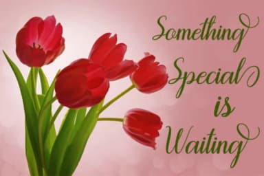 Encounter Font by Encolab — Script Handwritten Font — thumbnail 7