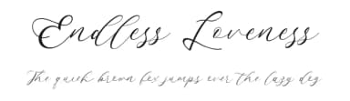 Endless Loveness by Creatype Studio — Script Handwritten Font — thumbnail 1