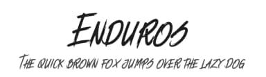 Enduros by Sukolab Std — Script Handwritten Font — thumbnail 1