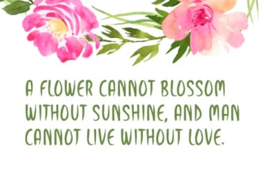 Enjoy Today Font by Instagram Fonts — Script Handwritten Font — thumbnail 2