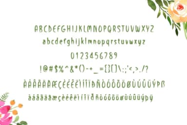 Enjoy Today Font by Instagram Fonts — Script Handwritten Font — thumbnail 5