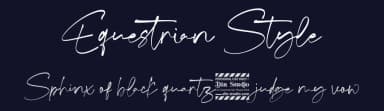 Equestrian Style by Din Studio — Script Handwritten Font — thumbnail 2