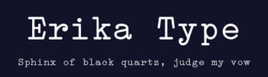 Erika Type by Peter Wiegel — Sans Serif Font — thumbnail 2