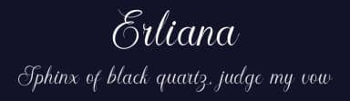 Erliana by Aan Samukur — Script Handwritten Font — thumbnail 2