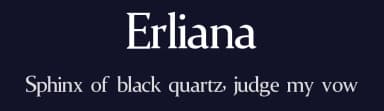 Erliana by Ryan Rivaldo Vierra — Serif Font — thumbnail 2