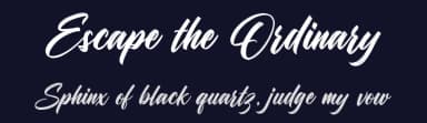 Escape the Ordinary by Octotype  | Thomas Boucherie — Script Handwritten Font — thumbnail 2