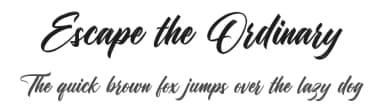 Escape the Ordinary by Octotype  | Thomas Boucherie — Script Handwritten Font — thumbnail 1