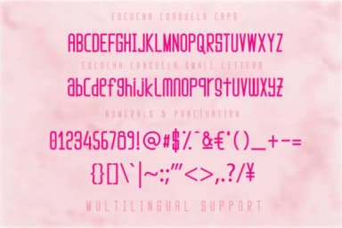 Escucha Consuela Duo Font by Digital Hustler — Script Handwritten Font — thumbnail 6