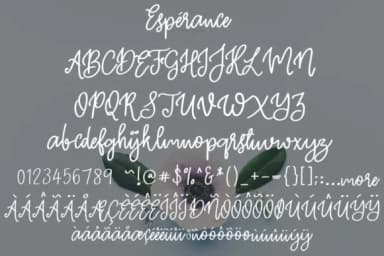Esperance Font by Studio_Art — Script Handwritten Font — thumbnail 6