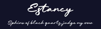 Estancy by Letterena Studios — Script Handwritten Font — thumbnail 2